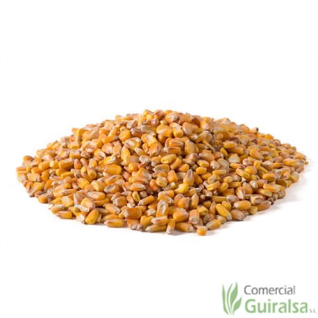 Maíz entero limpio pienso materia prima marca Agroveco - Guiralsa