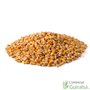Maíz entero limpio pienso materia prima marca Agroveco - Guiralsa
