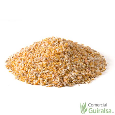 Maíz troceado limpio materia prima marca Agroveco - Guiralsa