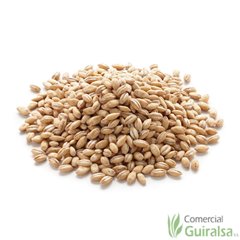 Cebada entera limpia materia prima marca Agroveco - Guiralsa