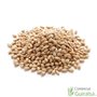 Cebada molida limpia materia prima marca Agroveco - Guiralsa