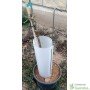 Protector con varilla para árboles 35,5 cm de alto y diametro 9,5 cm