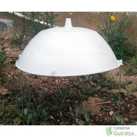 Tapa protectora Escarola o Esquerola. Diámetro 30 cm.