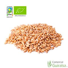 Trigo Ecologico Entero Saco 25 kg