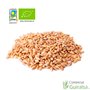Trigo Ecologico Entero Saco 25 kg