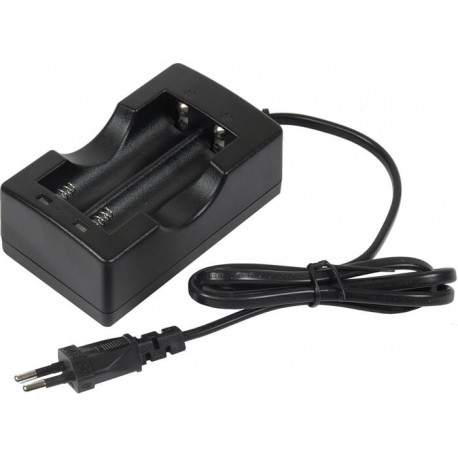 Cargador de Pilas Recargables 18650 Orework