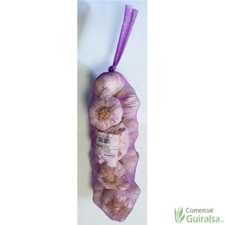 Ajos Tempranos de Siembra Morados 16 cabezas. Para cultivo o comer en la mesa