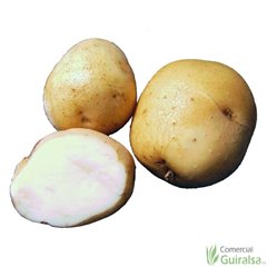 Patata de siembra Kennebec 35/55 Certificada