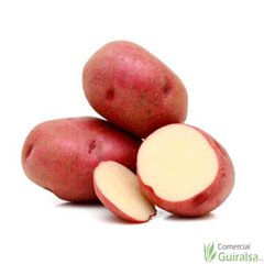 Patata de siembra Red Pontiac 35/55 Certificada Saco 25 kg