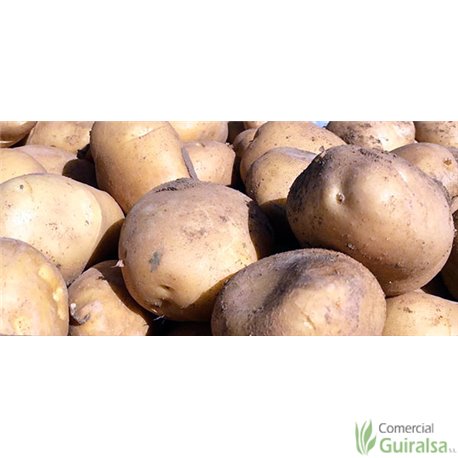 Patata de siembra Agria Ecológica 35/55 Certificada Saco 25 kg