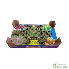 Caja Semillas Patata Kennebeck Certificada Pregerminada