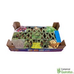 Caja Semillas Patata Kennebeck Certificada Pregerminada