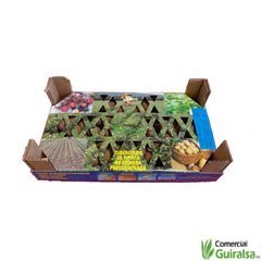 Caja Semillas Patata Kennebeck Certificada Pregerminada