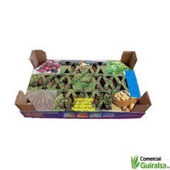 Caja Semillas Patata Kennebeck Certificada Pregerminada