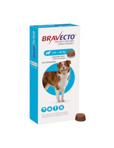 Antiparasitario masticable Bravecto para perros pequeños de 20 a 40kg de peso