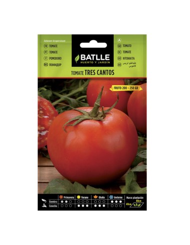 sobre semillas tomate Tres Cantos Batlle sobre