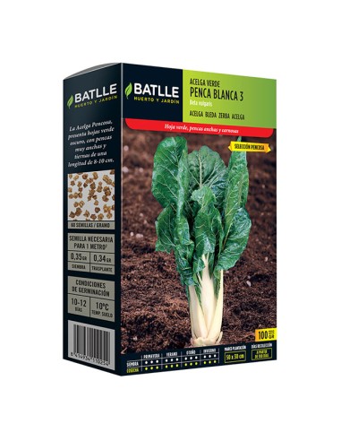 Acelga Verde de Penca Blanca 3 BATTLE formato 100gr Guiralsa
