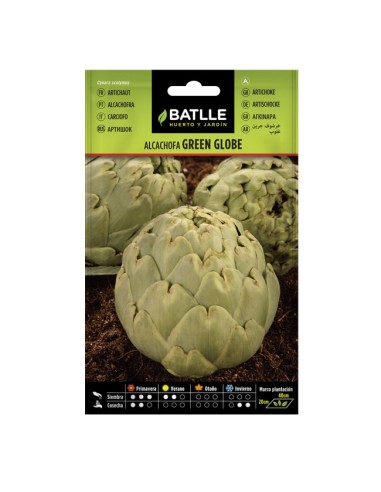 Semillas Alcachofa Green Globe