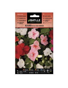 semillas de flores Alegría de la casa Batlle