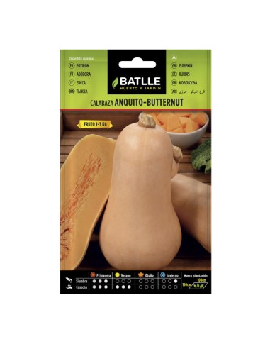 semillas calabaza Anquito Butternut Batlle