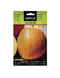 semillas calabaza Big Max Batlle