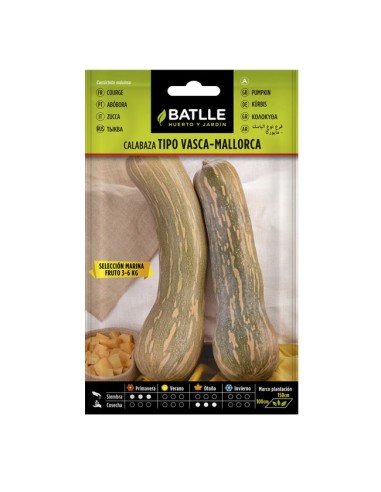 semillas calabaza tipo Vasca-Mallorca Batlle