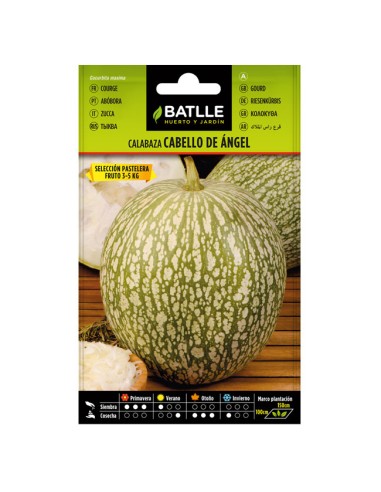Semillas Calabaza Cabello de Angel Batlle