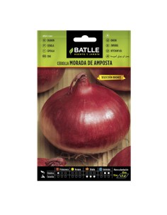 Semillas Cebolla Morada de Amposta Batlle