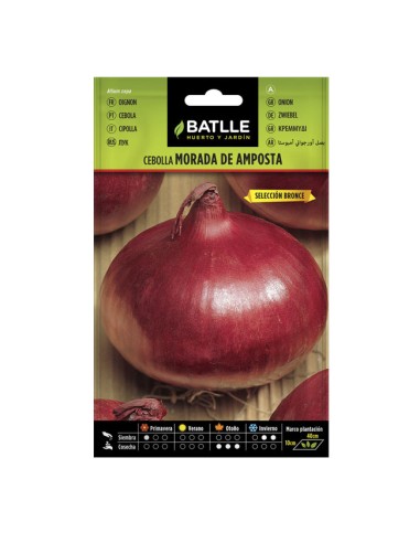 Semillas Cebolla Morada de Amposta Batlle