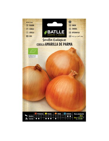 Semillas ecológicas Cebolla Amarilla de Parma Batlle