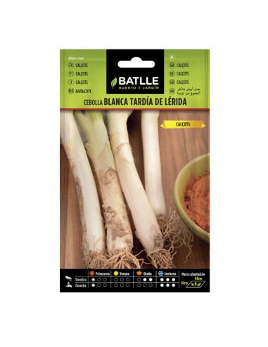 Semillas Cebolla tardía de Lérida Calçots