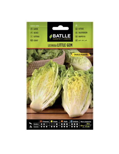 semillas de lechuga Little Gem cogollos Batlle 7 gr.