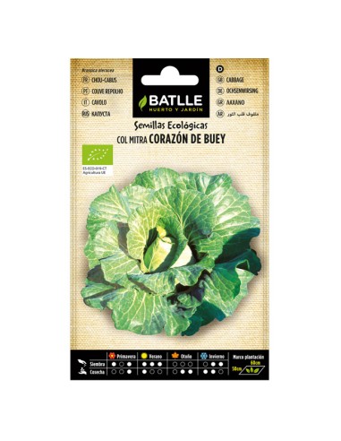 Semillas Ecológicas Col Corazón de Buey Batlle