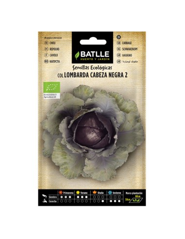 Semillas ecológicas Col Lombarda Cabeza Negra 2 Batlle