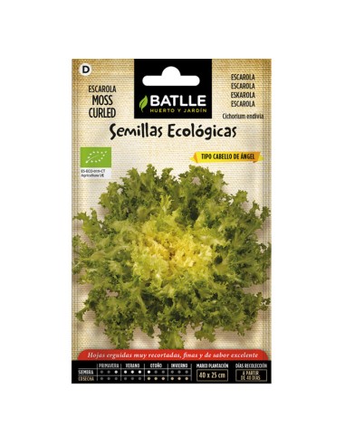 Semillas ecológicas Escarola Cabello de Ángel Sobre