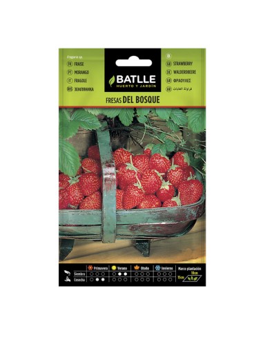 Semillas Fresas del Bosque Batlle sobre