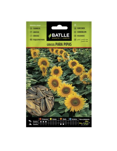 Semillas Girasol para Pipas Batlle sobre