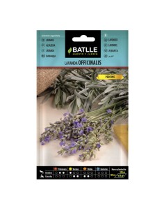 Semillas Lavanda...