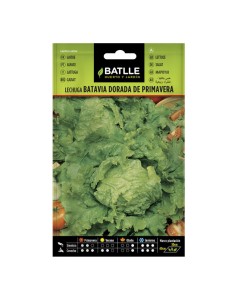 Semillas Lechuga Batavia Dorada de Primavera Batlle
