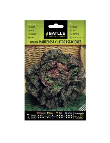 Semillas ecológicas Lechuga 4 estaciones Batlle