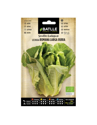 Semillas ecológicas Lechuga Romana Larga Rubia Batlle