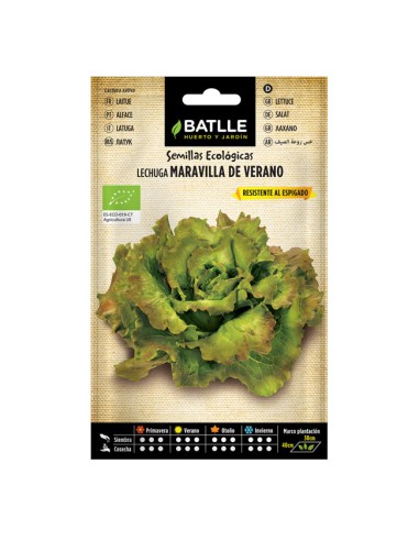 Semillas ecológicas Lechuga Maravilla de Verano Batlle