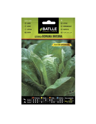 Semillas Lechuga Romana Inverna Batlle