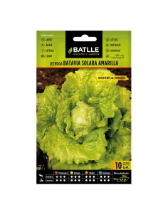 Semillas Lechuga Solara...