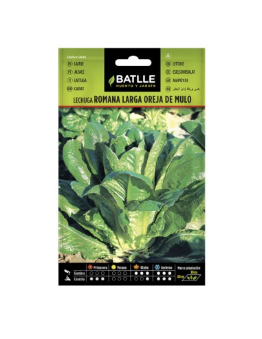 semilla Lechuga oreja de mulo s/n Batlle sobre