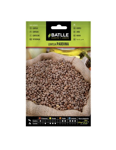 semillas Lenteja Pardina Batlle sobre