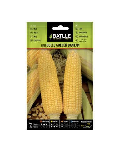 Semillas Maíz Dulce Golden Bantam Batlle