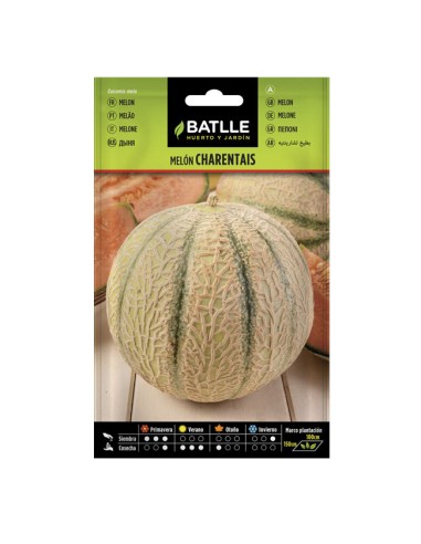 Semillas Melón Charentais Batlle Sobre