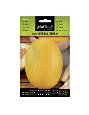 semillas Melón Amarillo Canario Batlle sobre