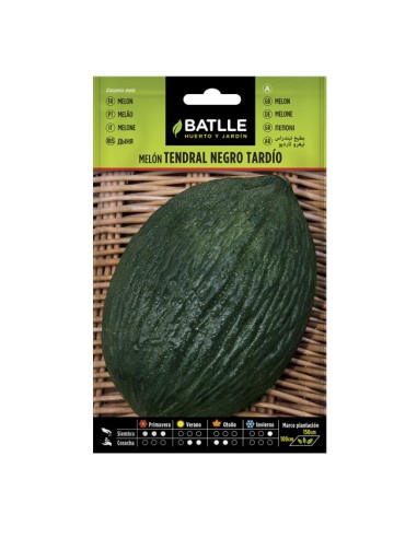 Semillas Melón Tendral Negro Tardío Batlle sobre